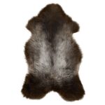 Fur Sheepskin Colored Texels   Large