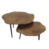 Coffee Table Set of 2 Sycomore