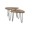 Set de table basse 2 pièces Dexter - ø60 cm - bois de manguier/fer