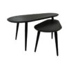 Coffee Tables Zurich - 95x52x46 - Acacia wood/metal - Set of 2