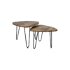 2 Piece coffee table set Dexter - ø60 cm - mango wood/iron