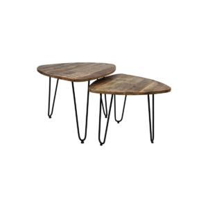 2-delige salontafelset Dexter – ø60 cm – mangohout/ijzer