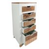 Drawer chest of drawers W 40 H 92 cm drawer tower sideboard California white mango wood