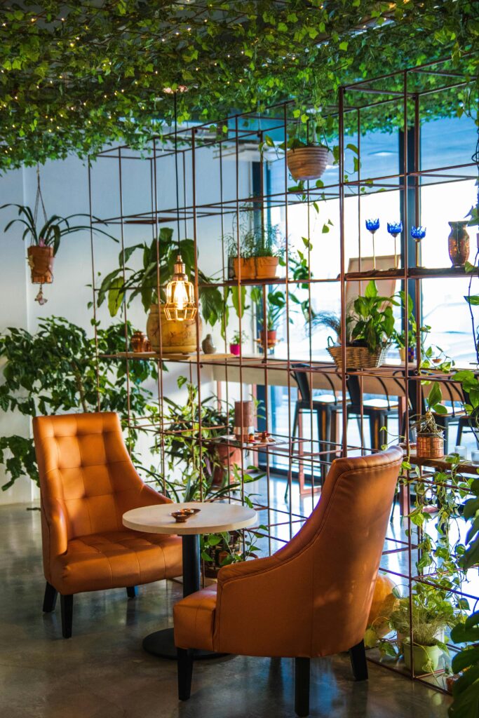 Bringing nature indoors: Incorporating greenery for a calming atmosphere