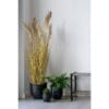 Nova Flower pots - 3 flower pots in black metal.