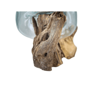 Vase on root wood - ø25x30 - Natural - Teak/glass - Natural, Teak, Wit, Wood, Natural, Glas, Glass, Teak, Wood