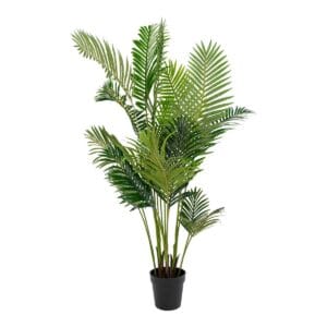 Areca Palm - Black, Green, Iron, Wit, Iron, Metal, Polyester, Iron, Living, Office, Indoor