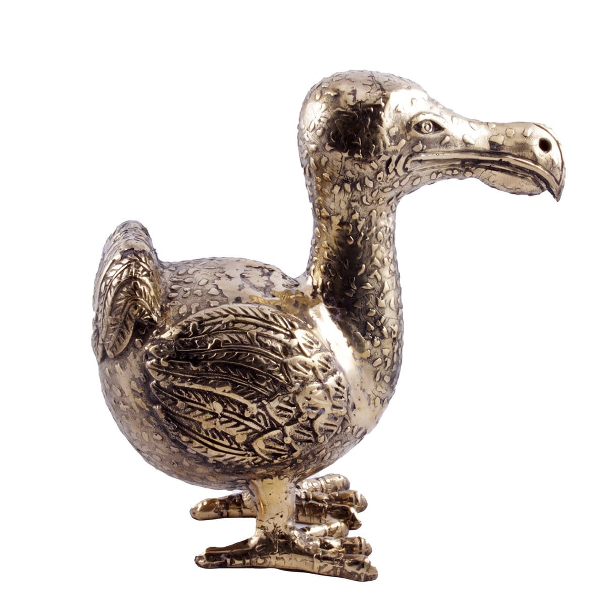 Brass Dodo S