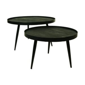 HSM Collection-Round Coffee Table S/2-ø76x44/ø58x40-Black-Mango/Metal - Black, Mango, Wit, Wood, Mango, Metal, Wood